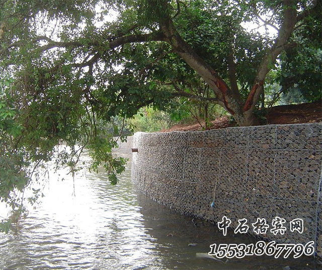 鍍高爾凡格賓網.jpg